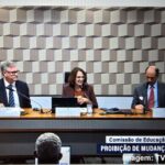 Audiência pública senado - pastor Rudolf von Sinner