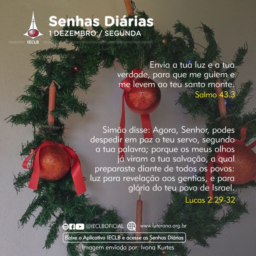 Senhas Diárias 01 12 2025