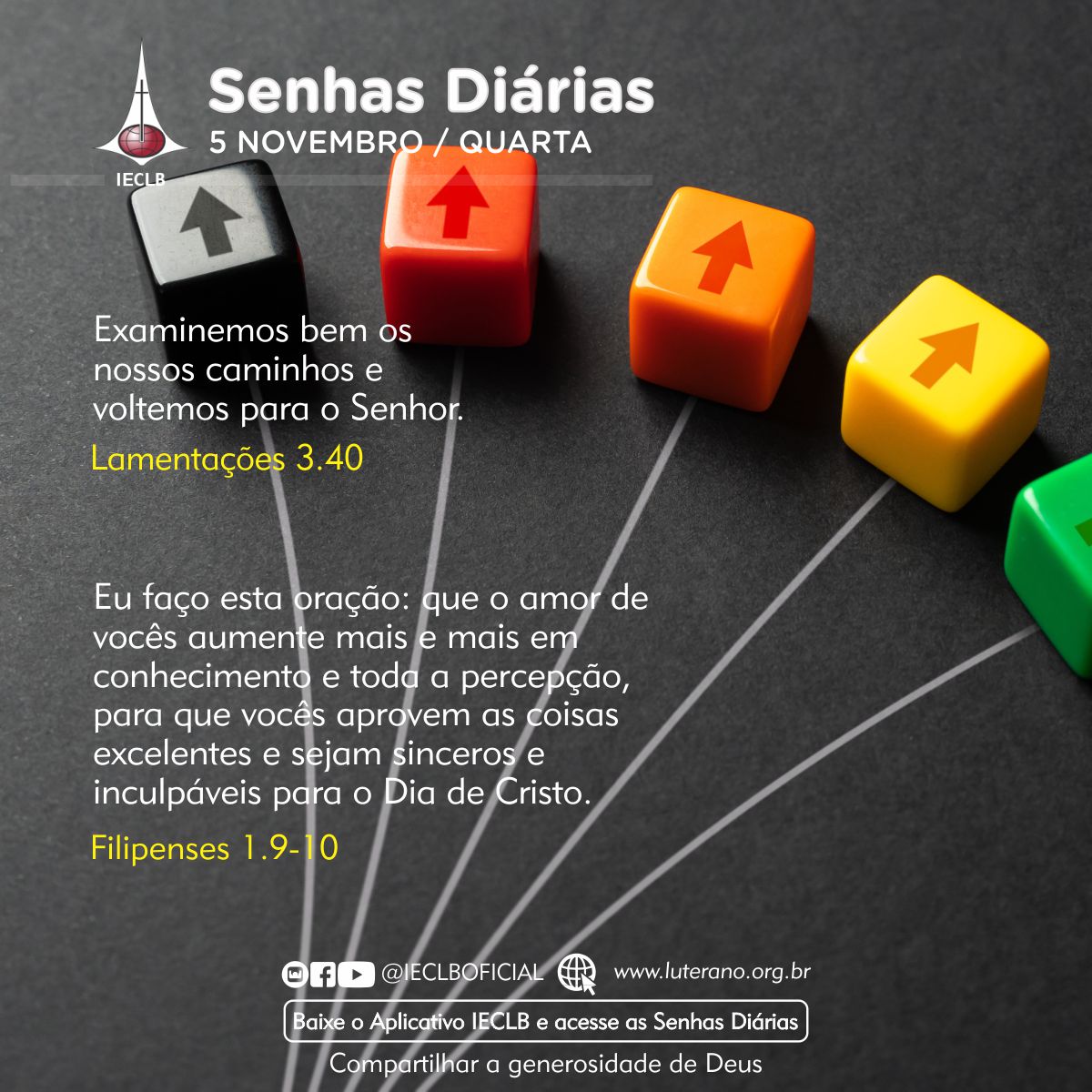 Senhas Diárias 05 11 2025