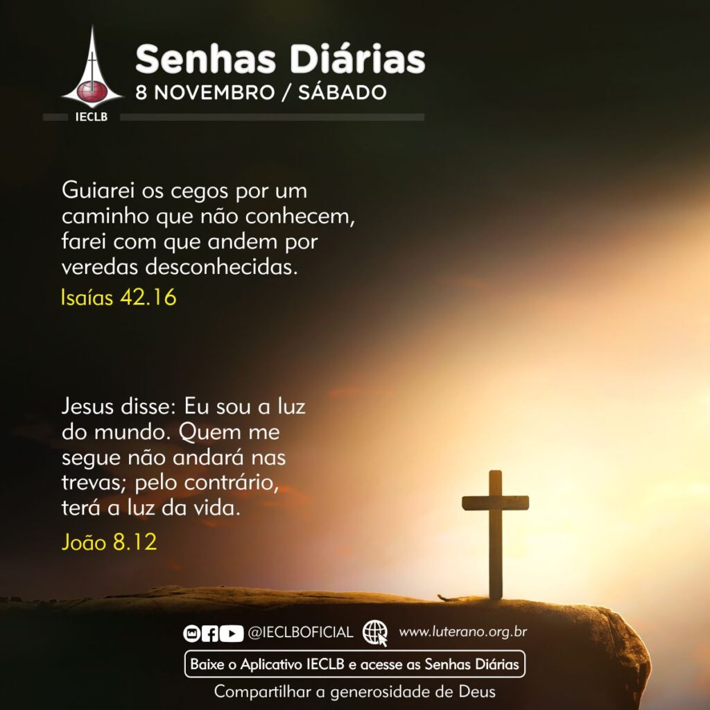 Senhas Diárias 08 11 2025