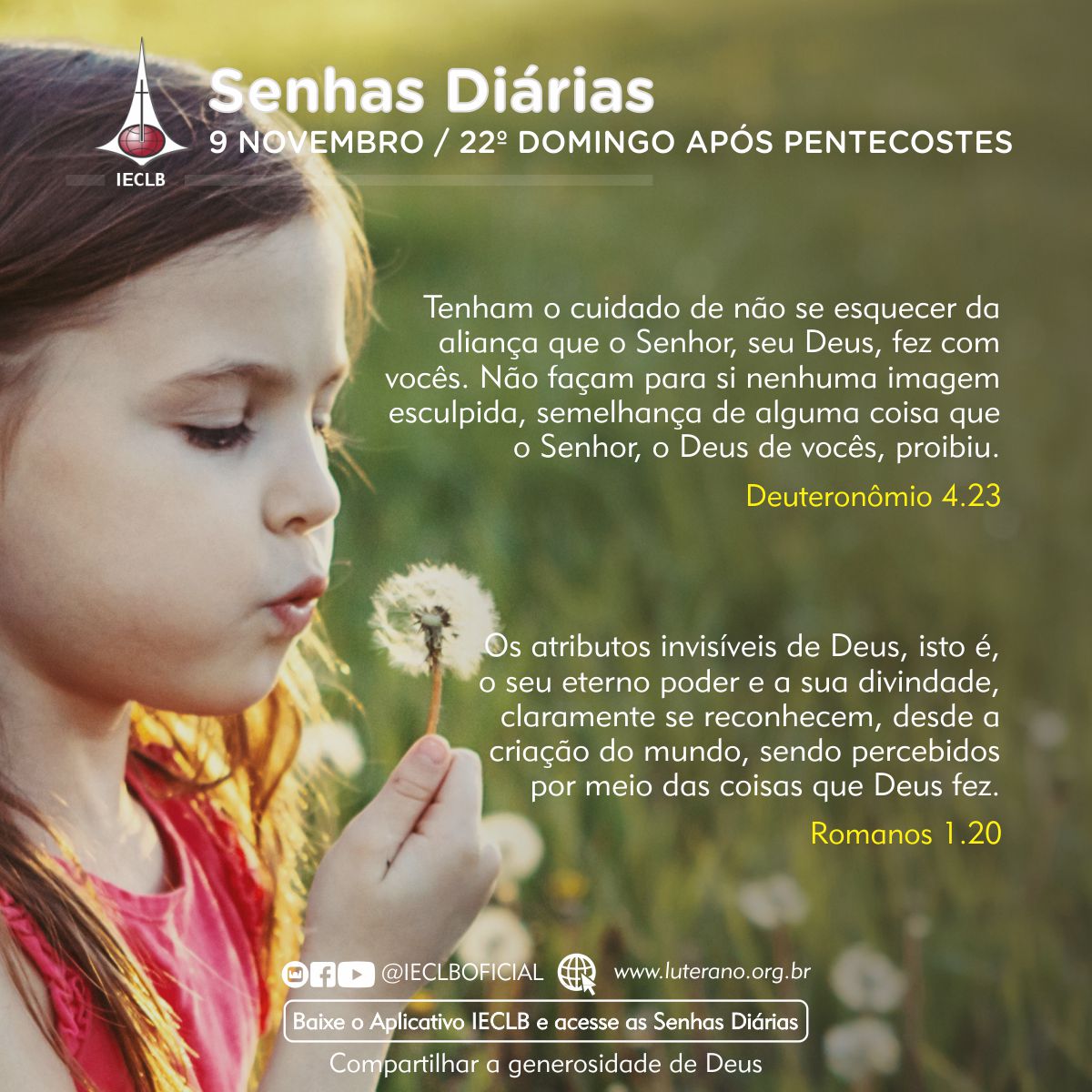 Senhas Diárias 09 11 2025