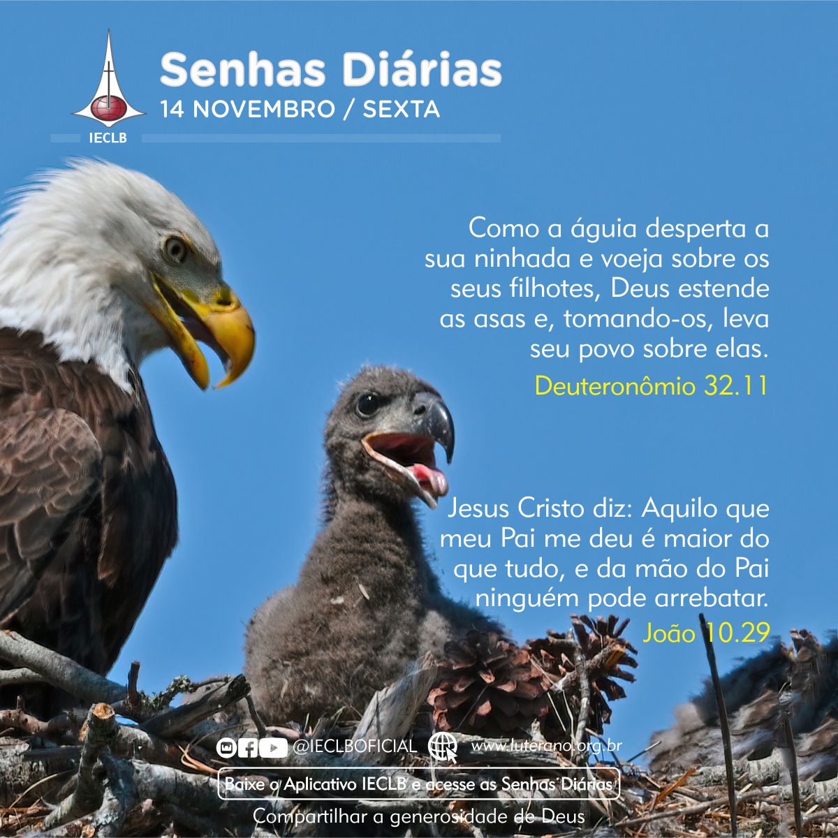 Senhas Diárias 14 11 2025