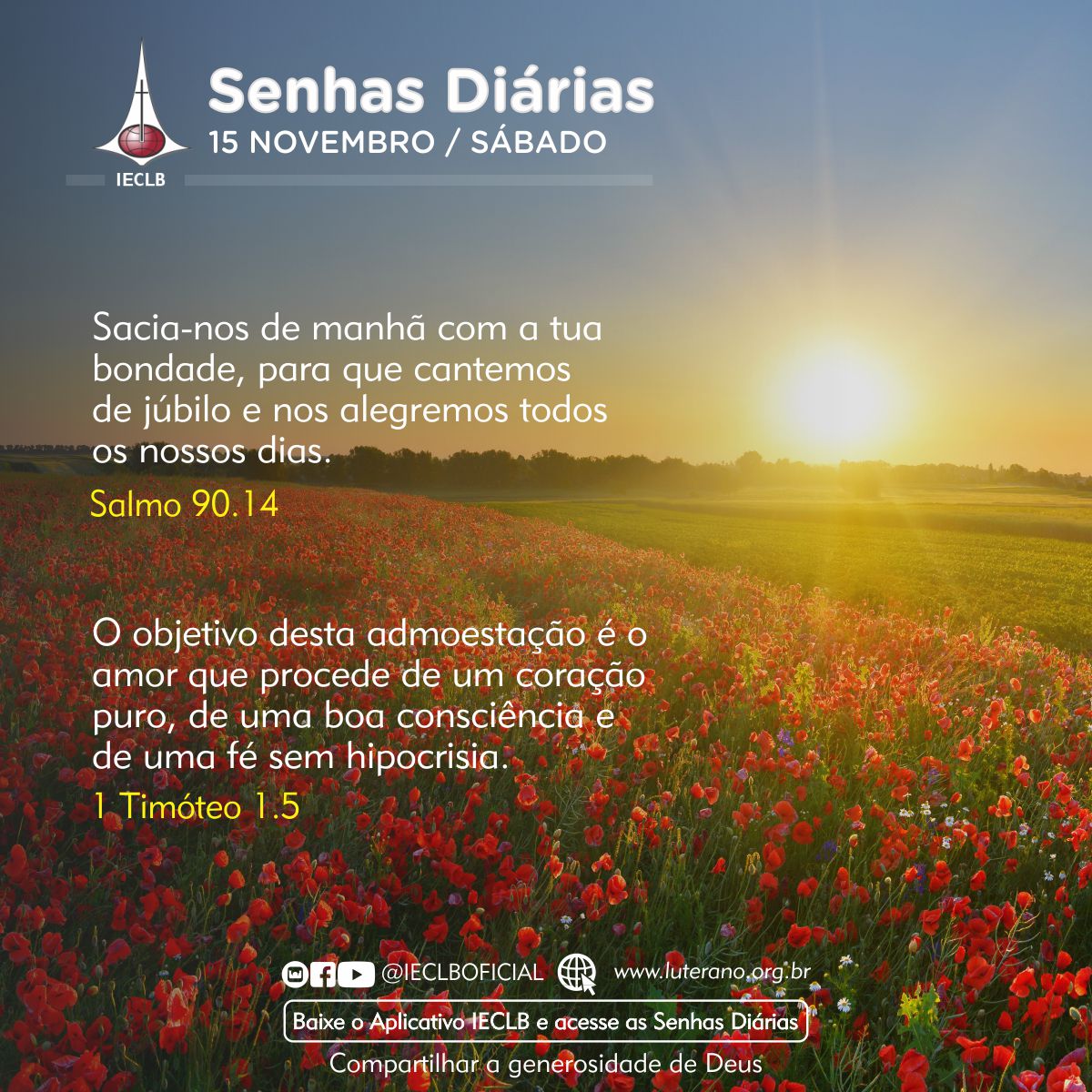 Senhas Diárias 15 11 2025