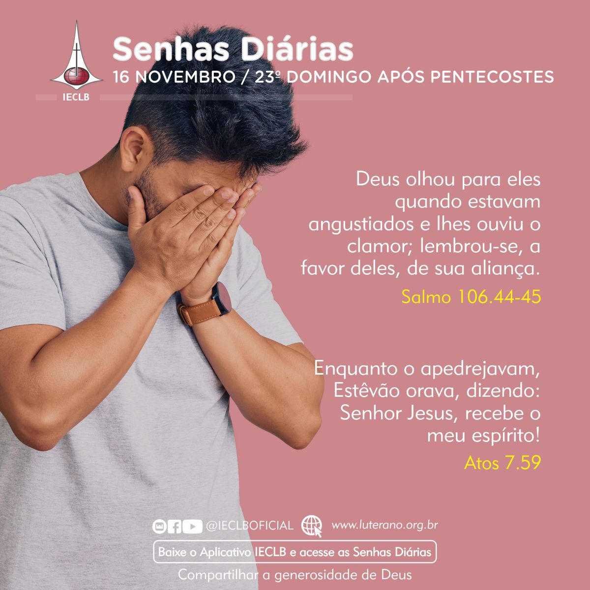 Senhas Diárias 16 11 2025