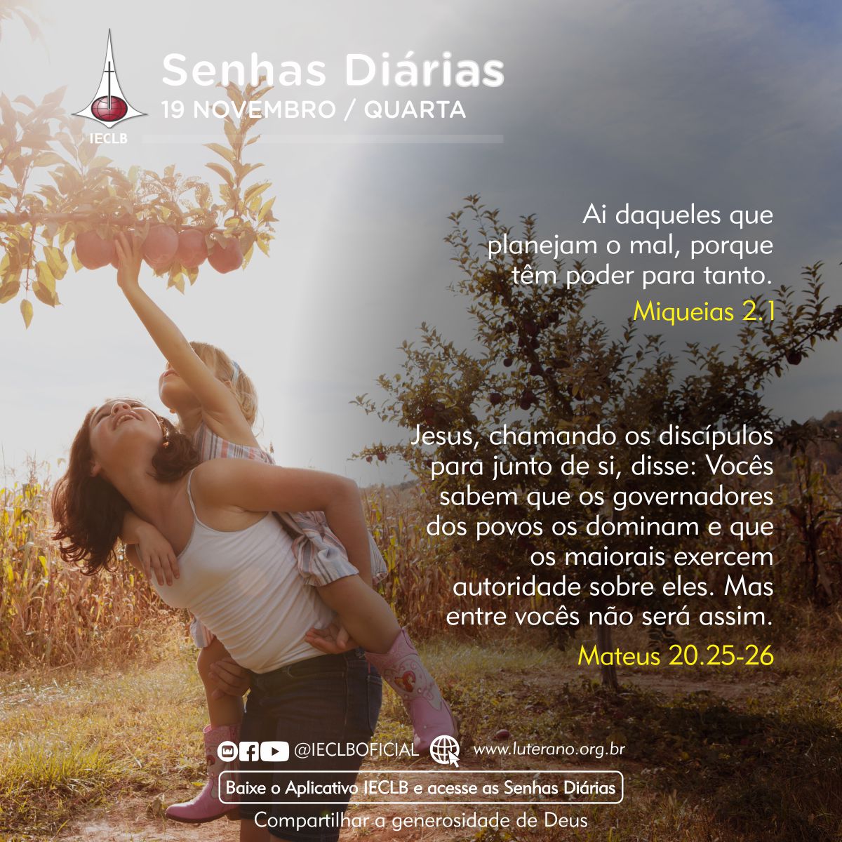 Senhas Diárias 19 11 2025