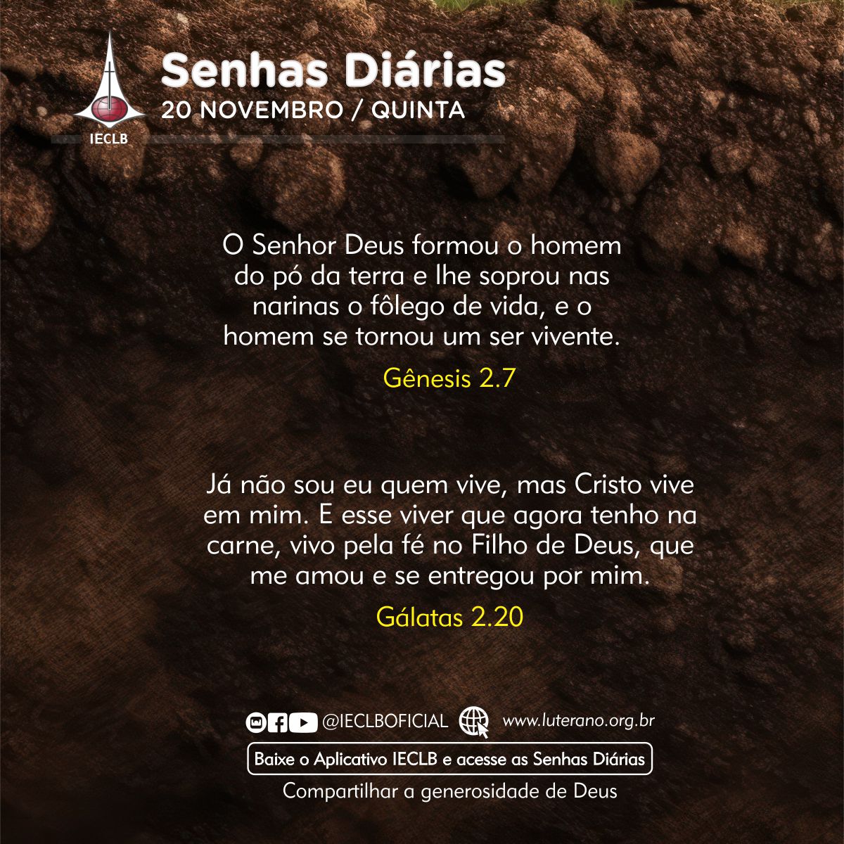 Senhas Diárias 20 11 2025
