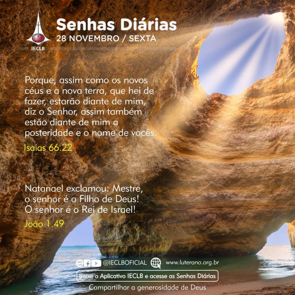 Senhas Diárias 28 11 2025