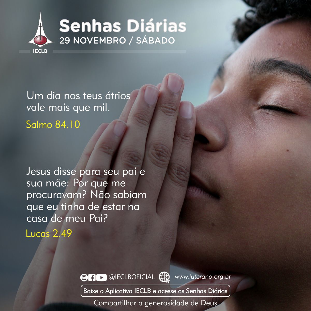 Senhas Diárias 29 11 2025