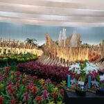 WhatsApp Image 2025-11-21 at 01.39.53