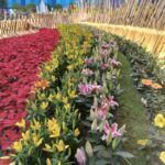 WhatsApp Image 2025-11-21 at 01.41.09