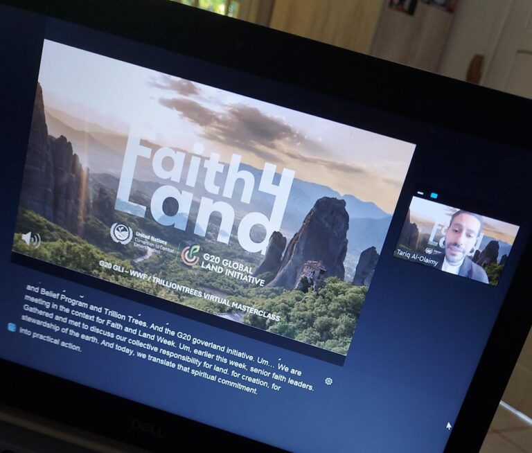 formação sobre reflorestamento