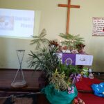 Missão Criança - Paróquia de Padilha (6)