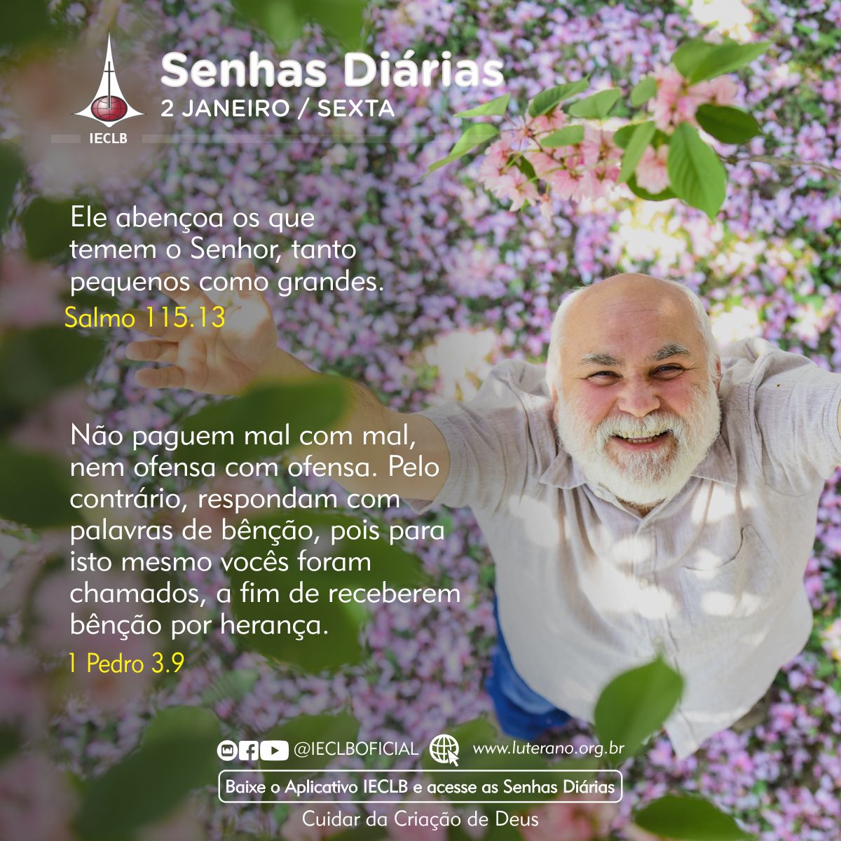 Senhas Diárias 02 01 2026