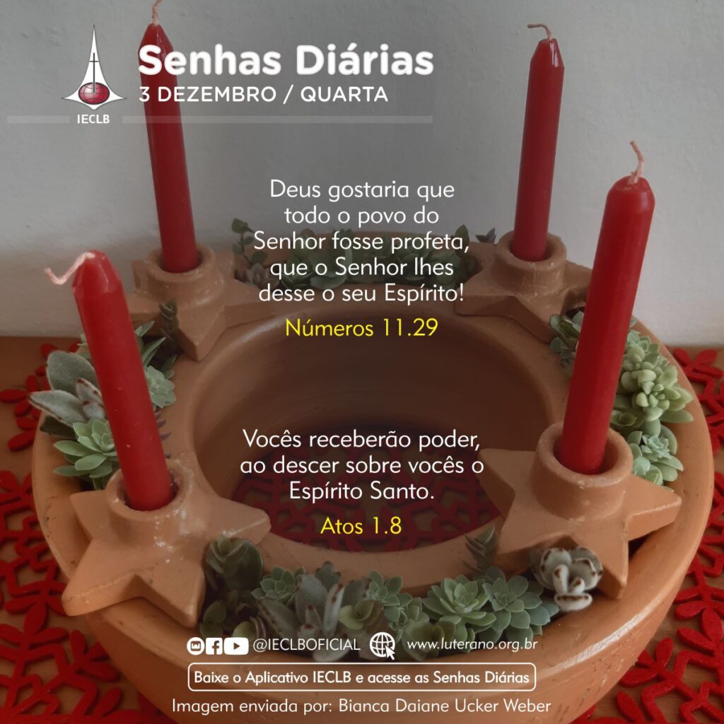 Senhas Diárias 03 12 2025