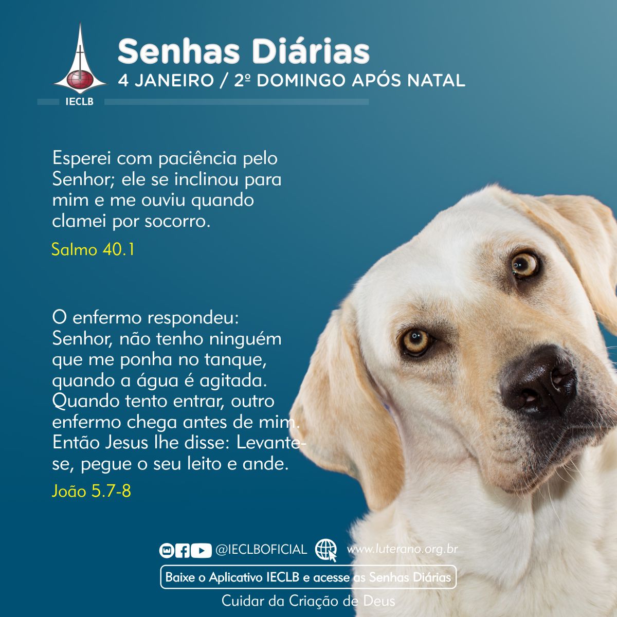 Senhas Diárias 04 01 2026