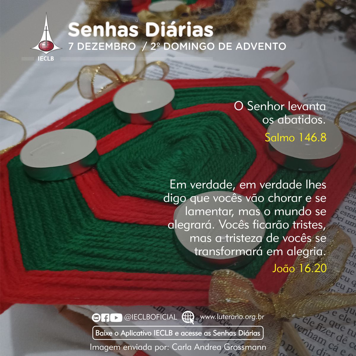 Senhas Diárias 07 12 2025