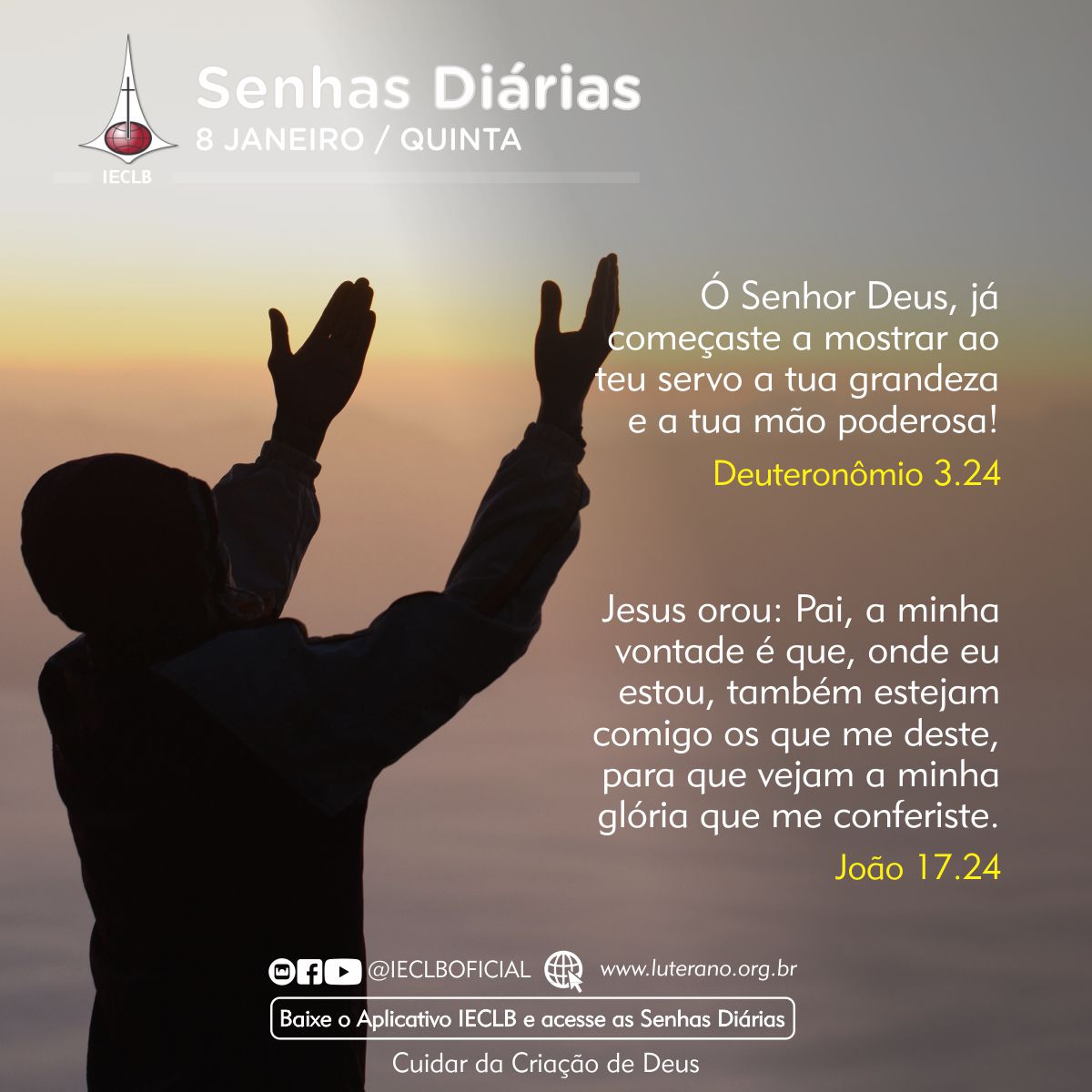 Senhas Diárias 08 01 2026