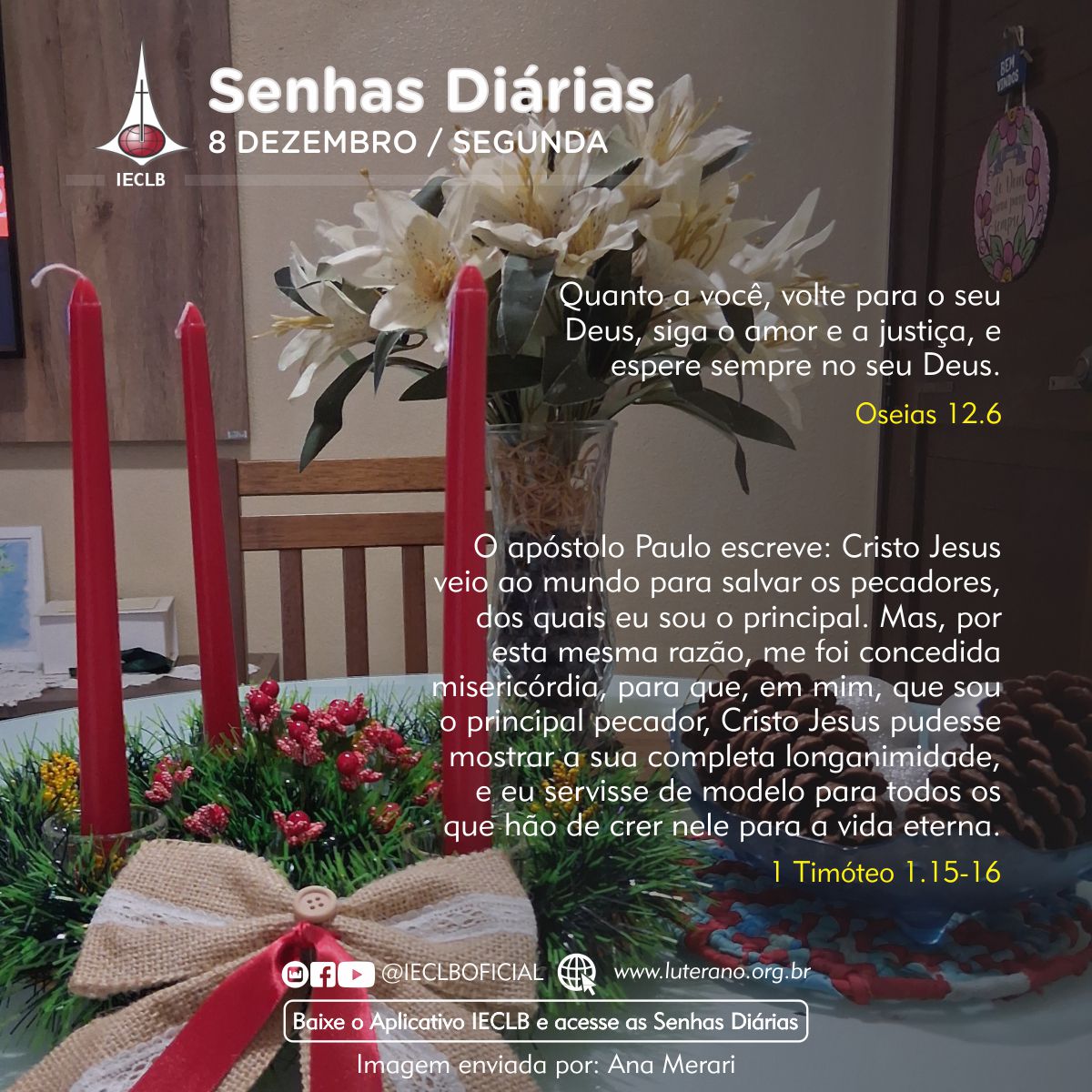 Senhas Diárias 08 12 2025