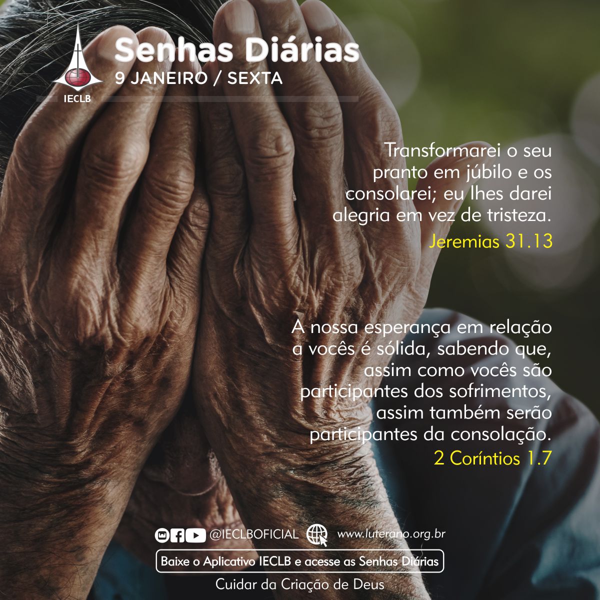 Senhas Diárias 09 01 2026