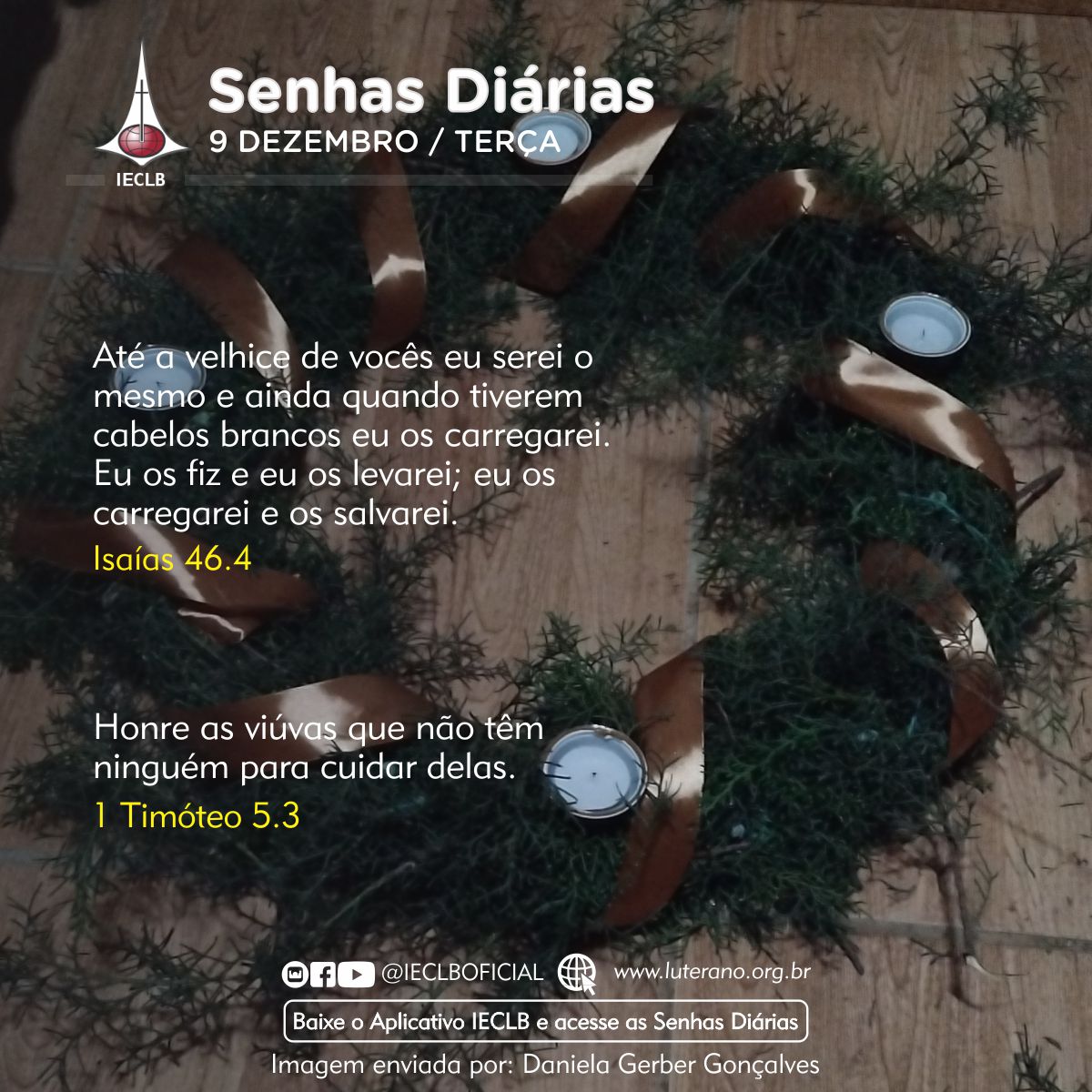 Senhas Diárias 09 12 2025
