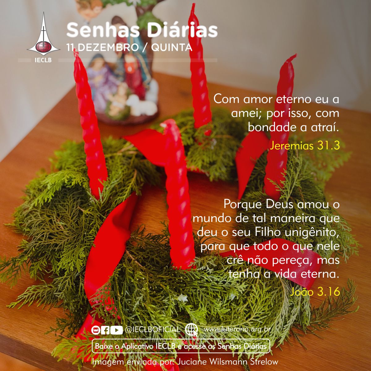 Senhas Diárias 11 12 2025