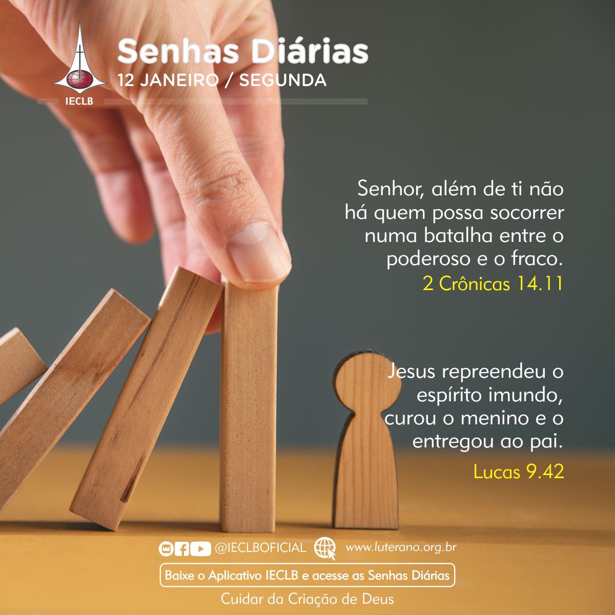 Senhas Diárias 12 01 2026