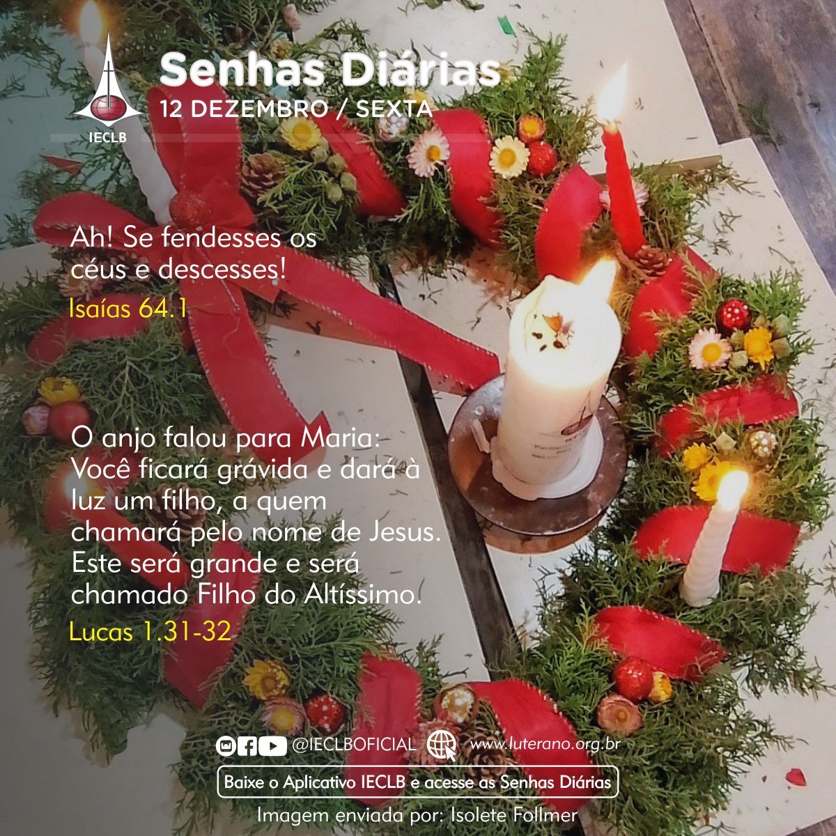 Senhas Diárias 12 12 2025