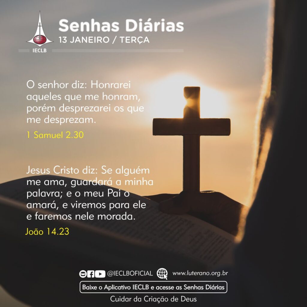 Senhas Diárias 13 01 2026