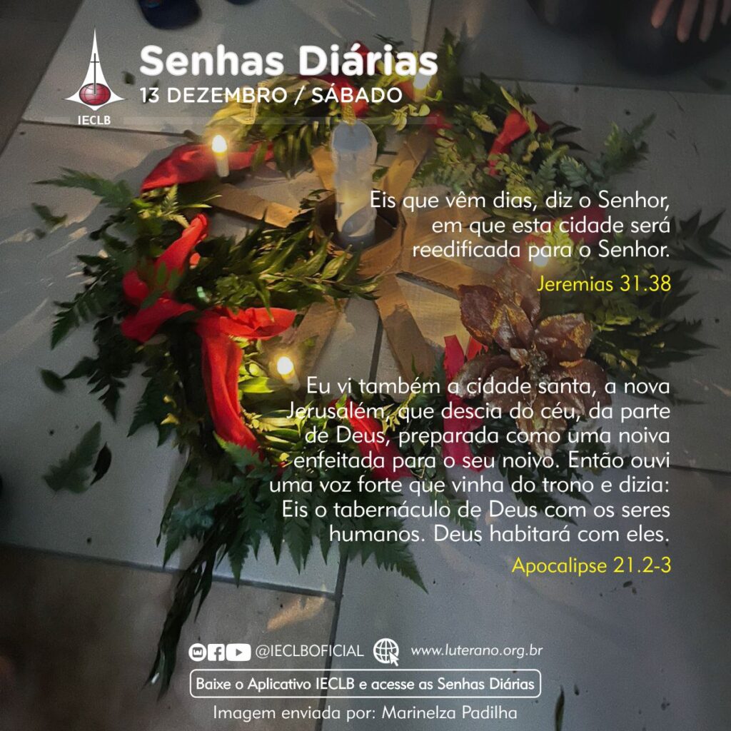 Senhas Diárias 13 12 2025