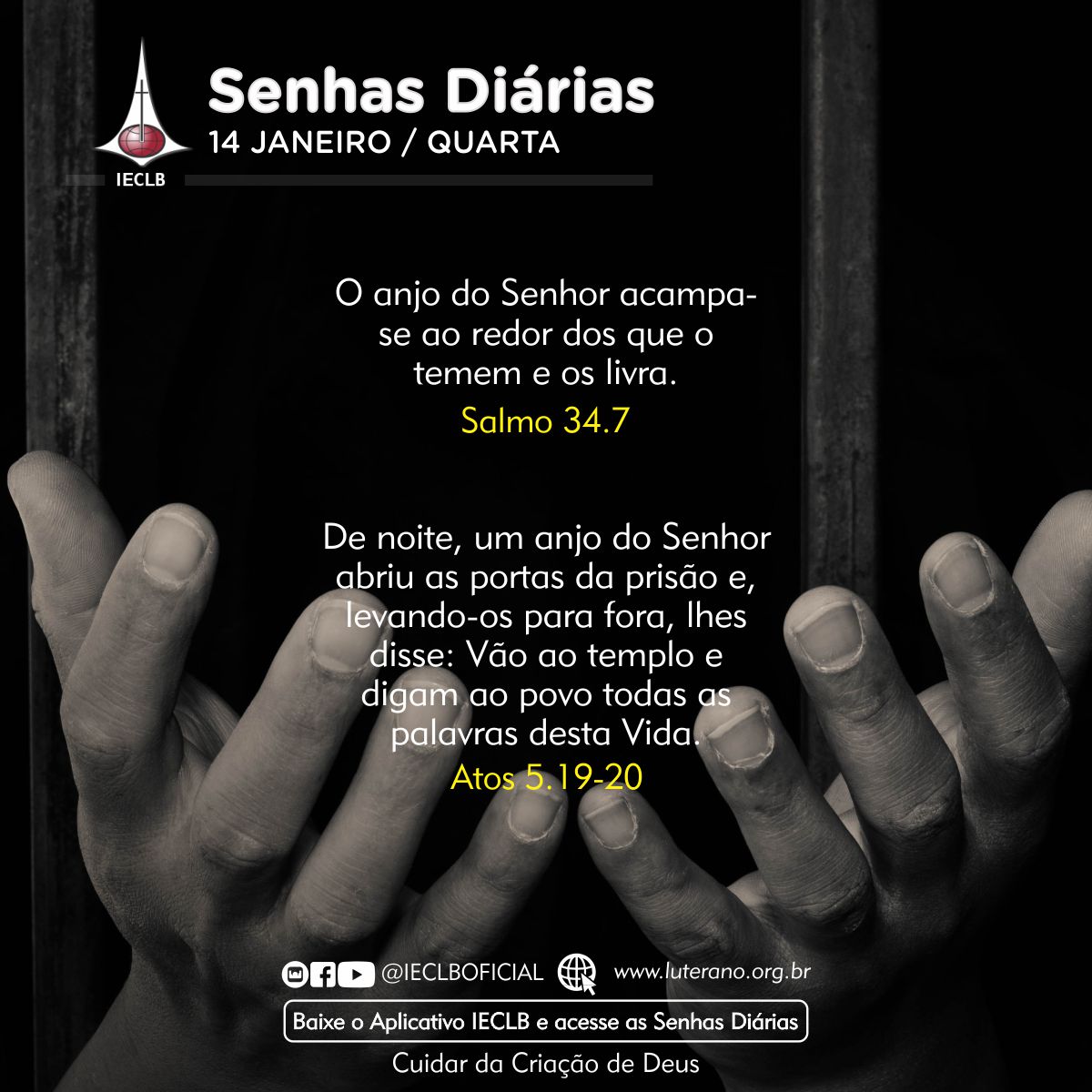 Senhas Diárias 14 01 2026