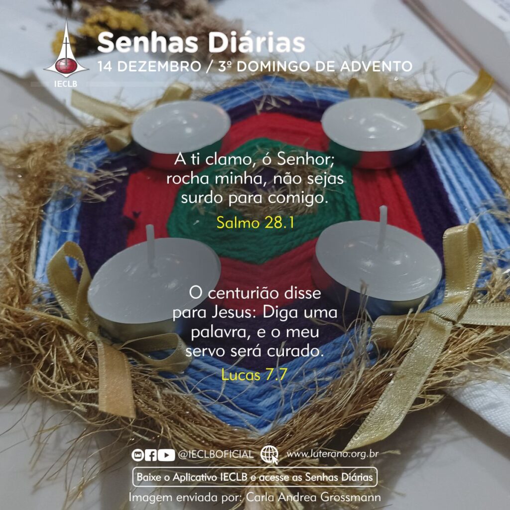 Senhas Diárias 14 12 2025