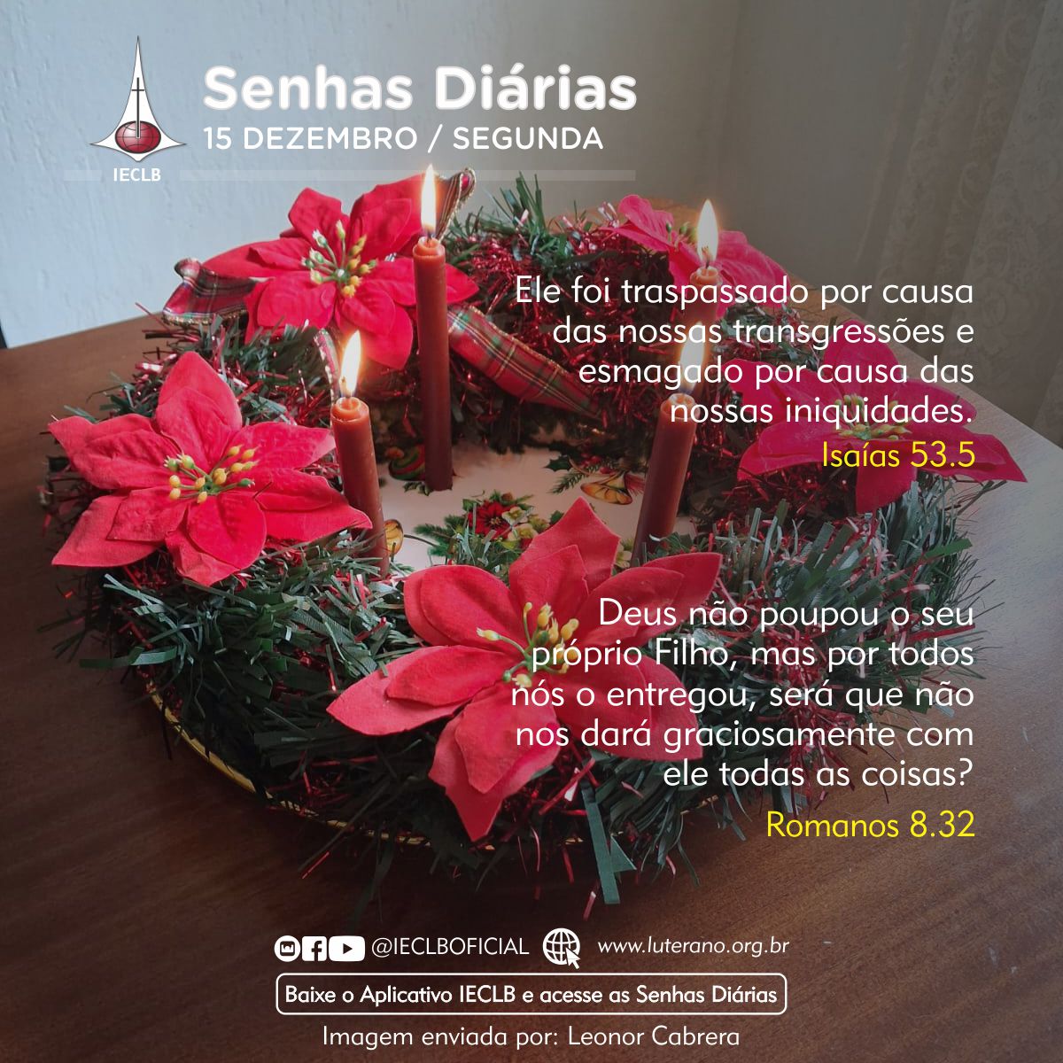 Senhas Diárias 15 12 2025