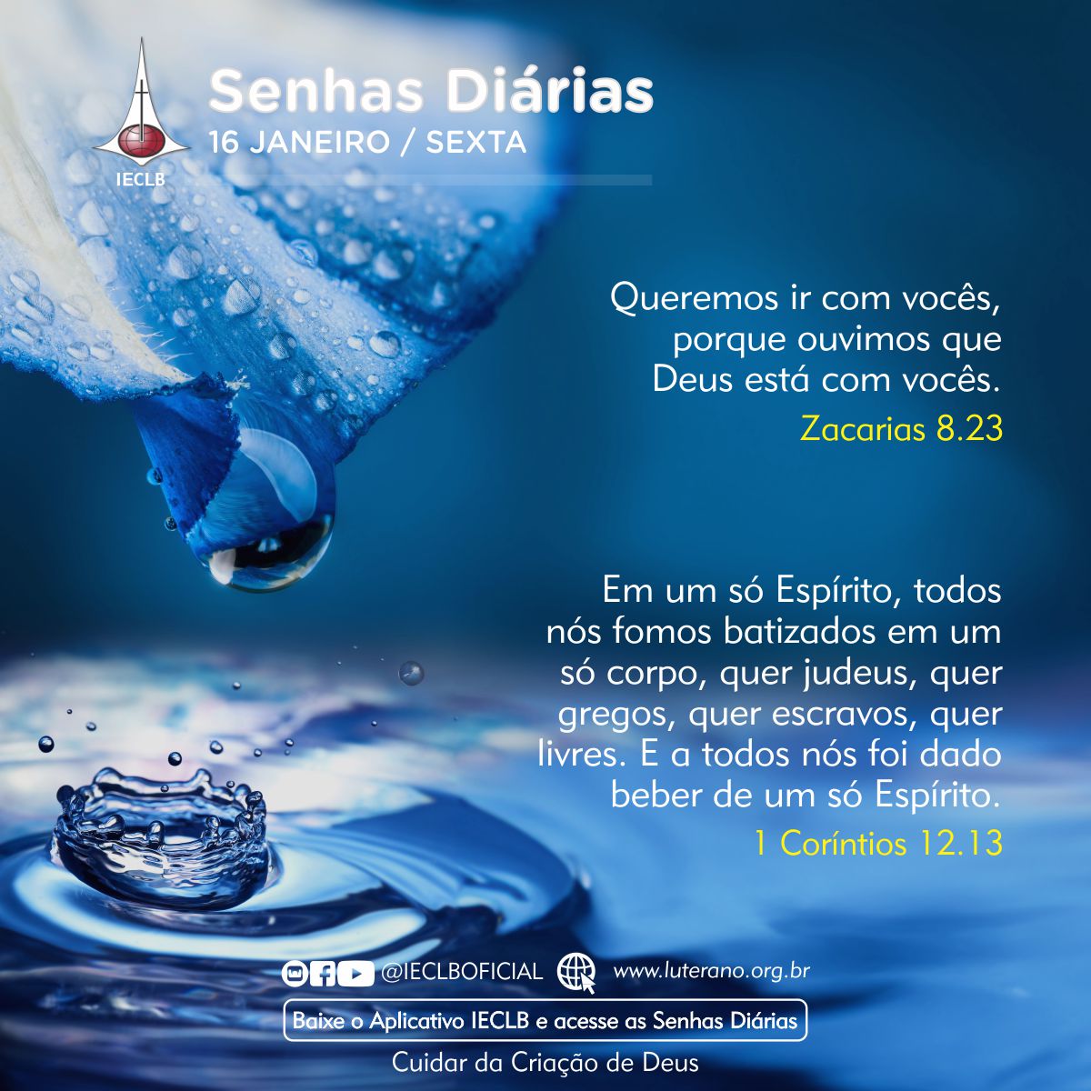 Senhas Diárias 16 01 2026