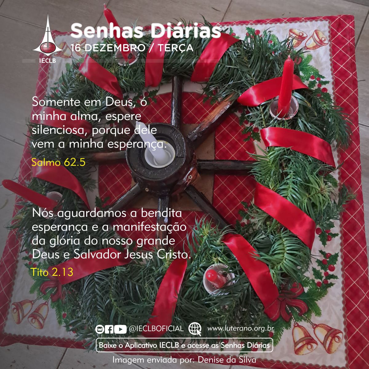 Senhas Diárias 16 12 2025