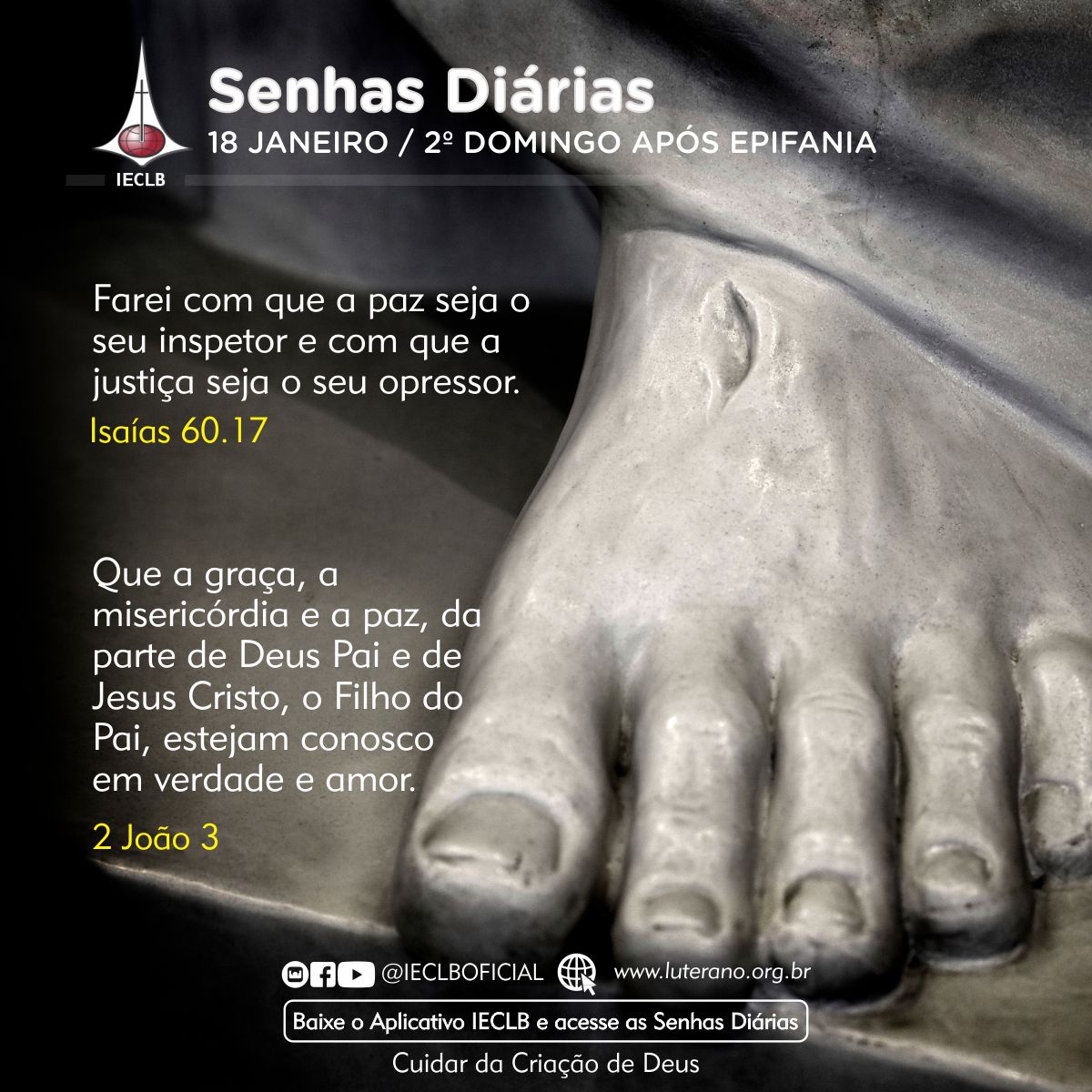 Senhas Diárias 18 01 2026