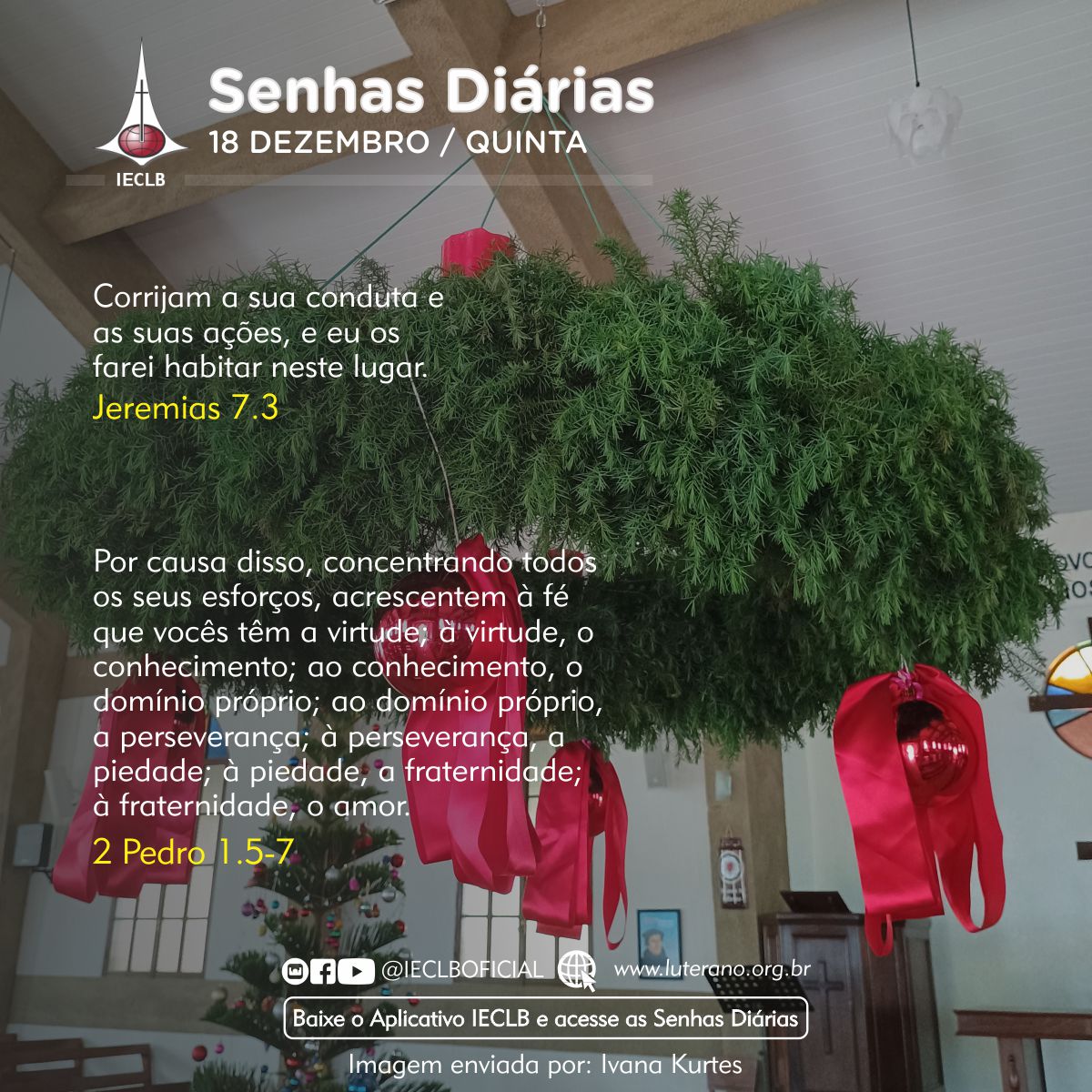 Senhas Diárias 18 12 2025