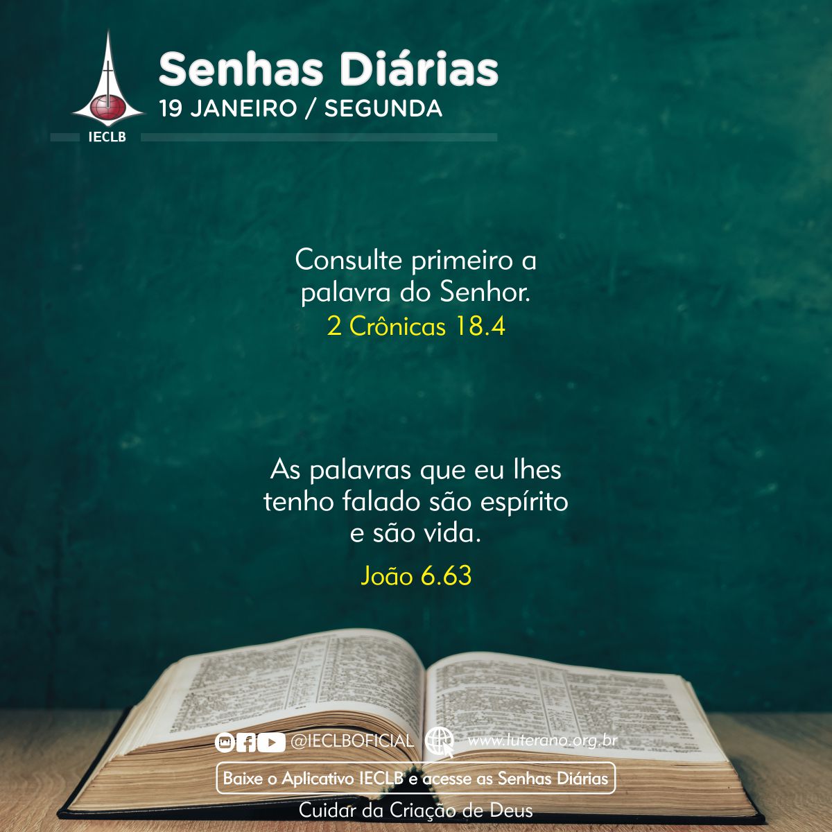 Senhas Diárias 19 01 2026