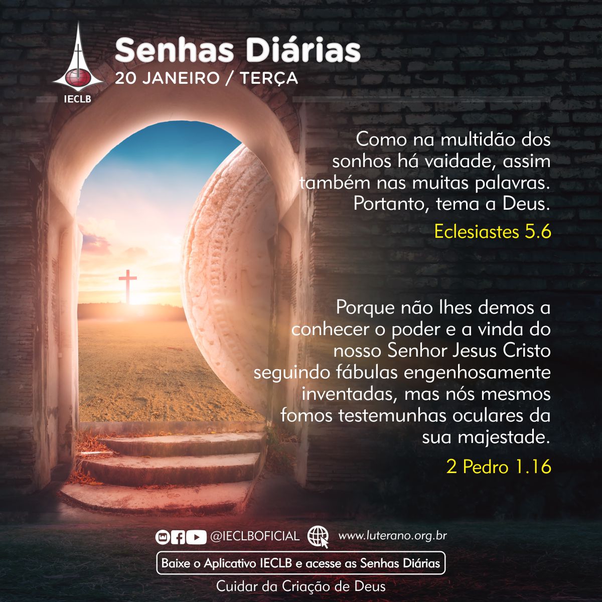 Senhas Diárias 20 01 2026