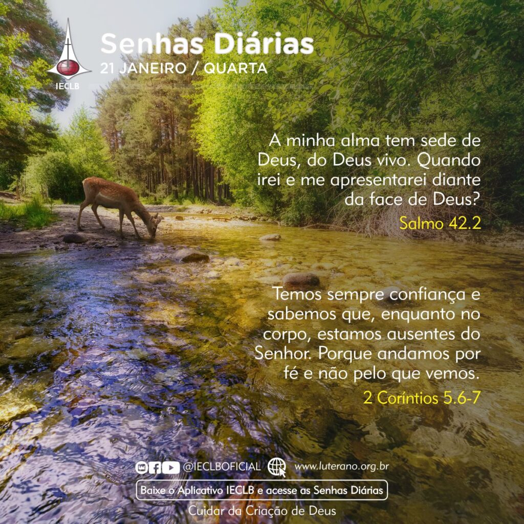 Senhas Diárias 21 01 2026