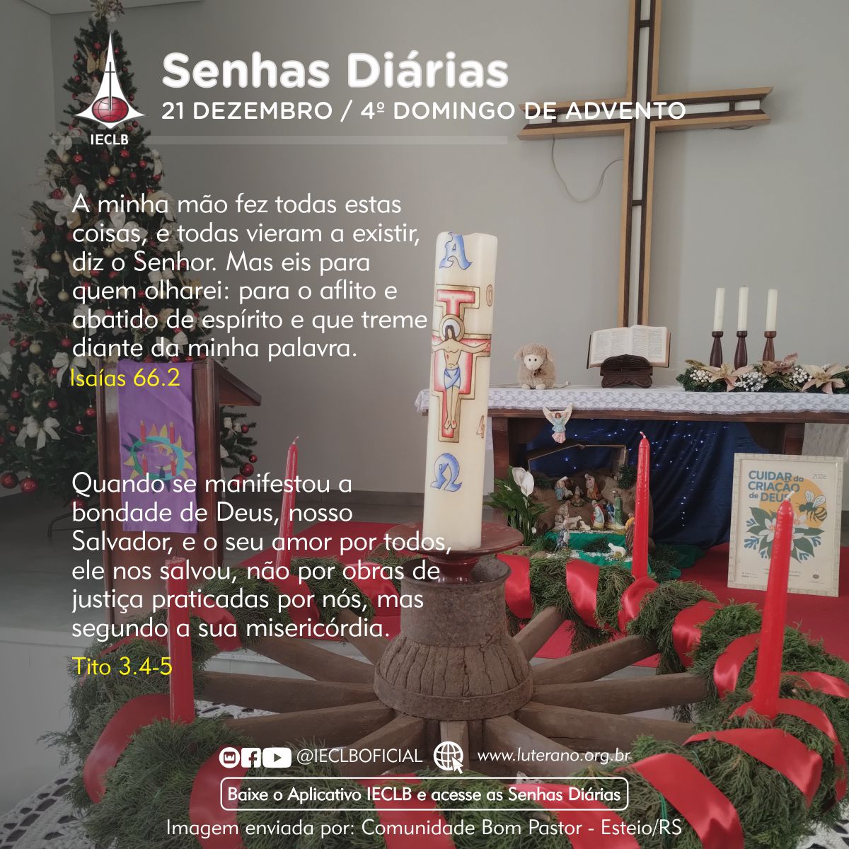 Senhas Diárias 21 12 2025