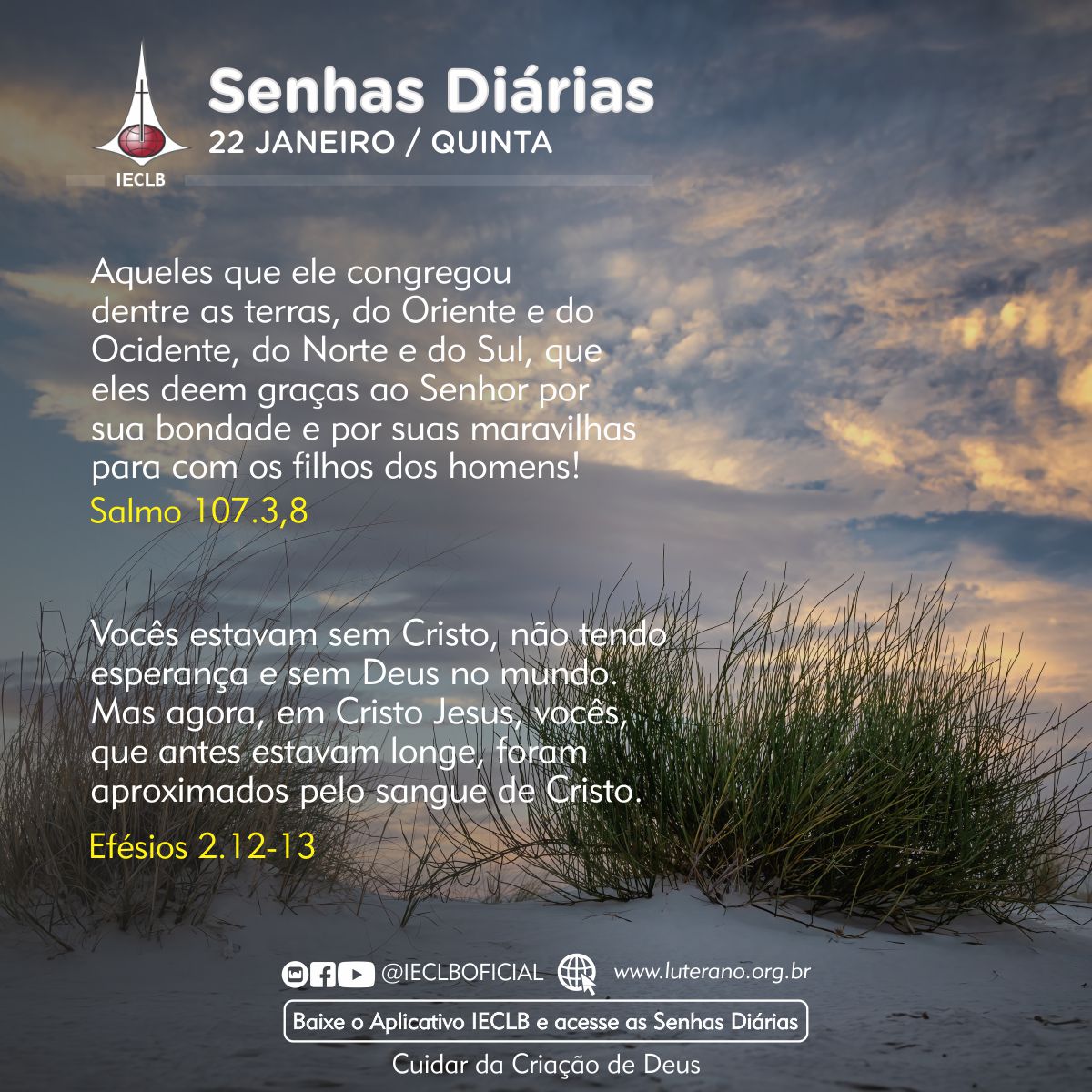 Senhas Diárias 22 01 2026