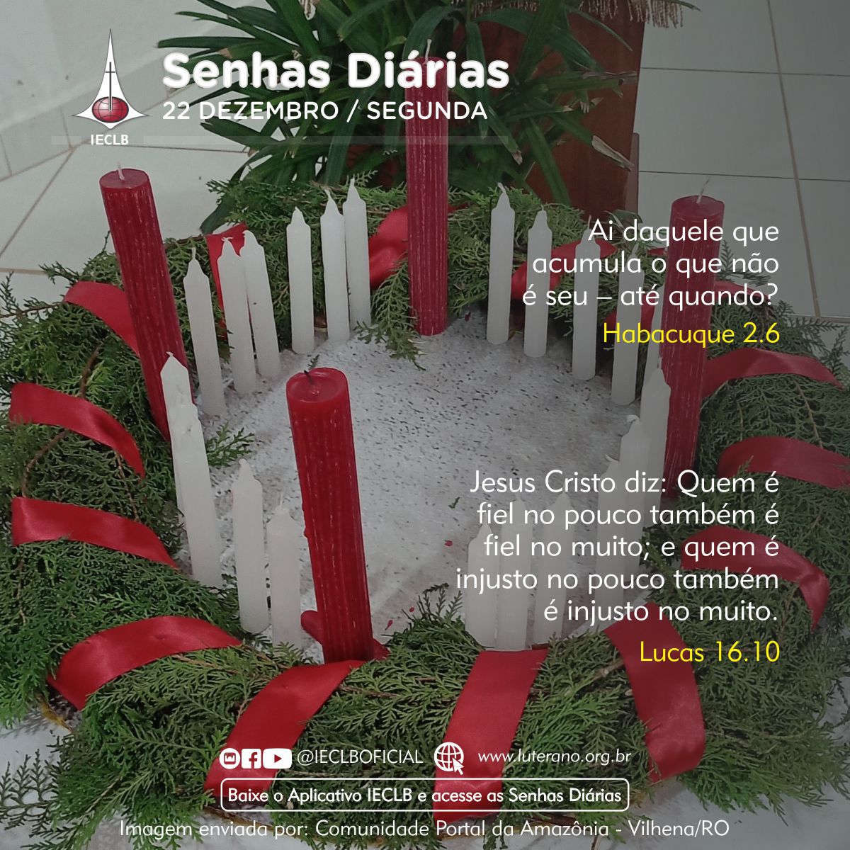 Senhas Diárias 22 12 2025