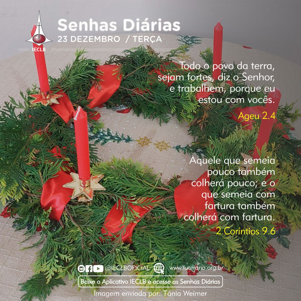 Senhas Diárias 23 12 2025