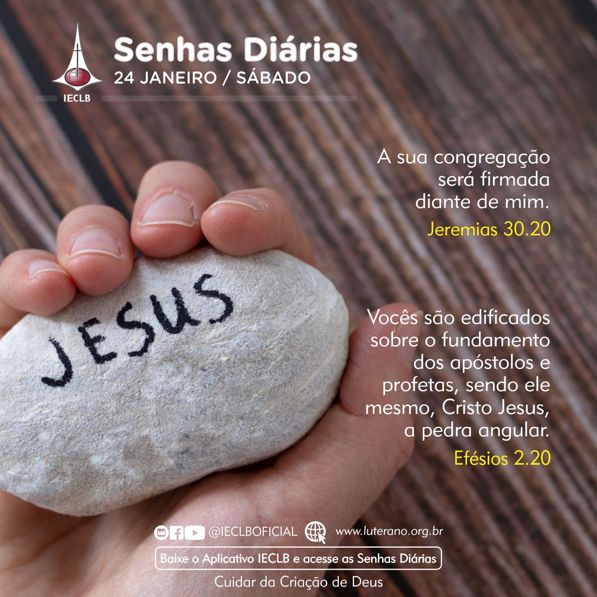 Senhas Diárias 24 01 2026