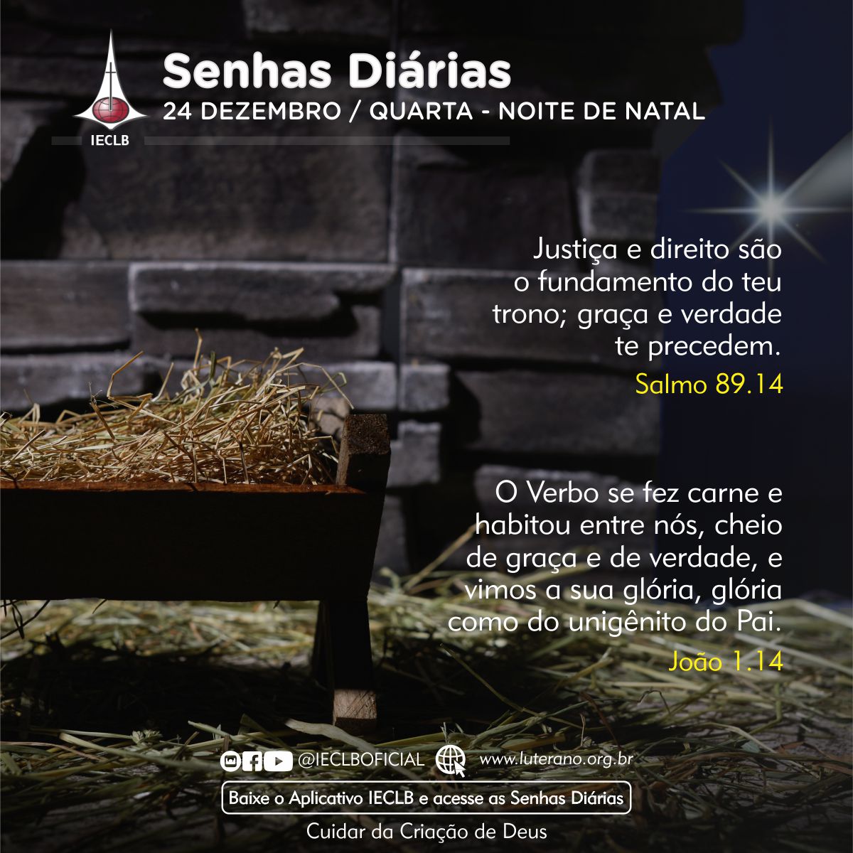 Senhas Diárias 24 12 2025