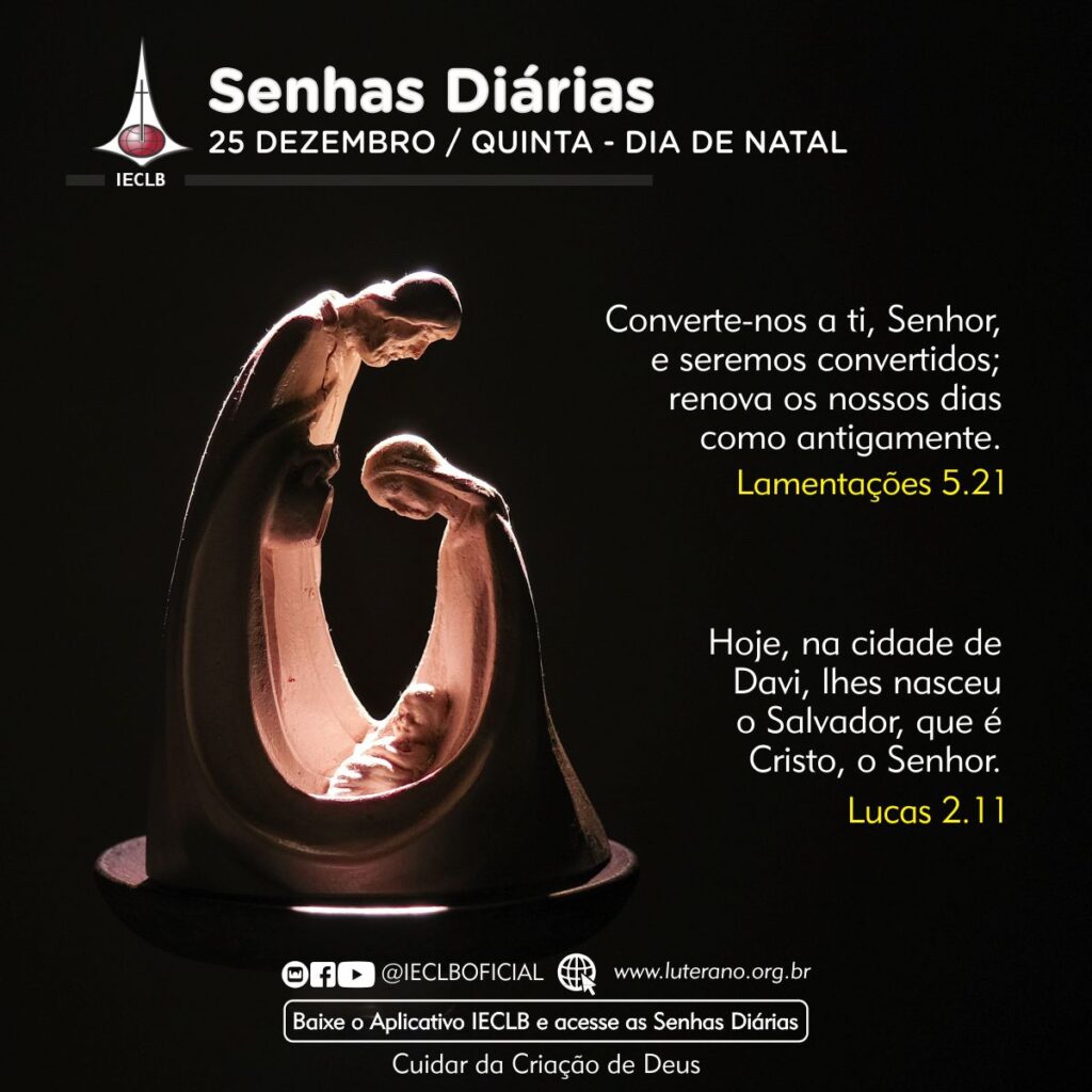 Senhas Diárias 25 12 2025