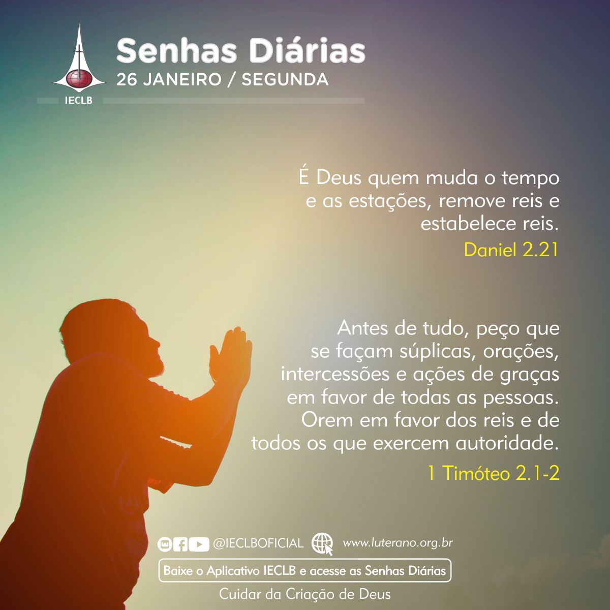 Senhas Diárias 26 01 2026