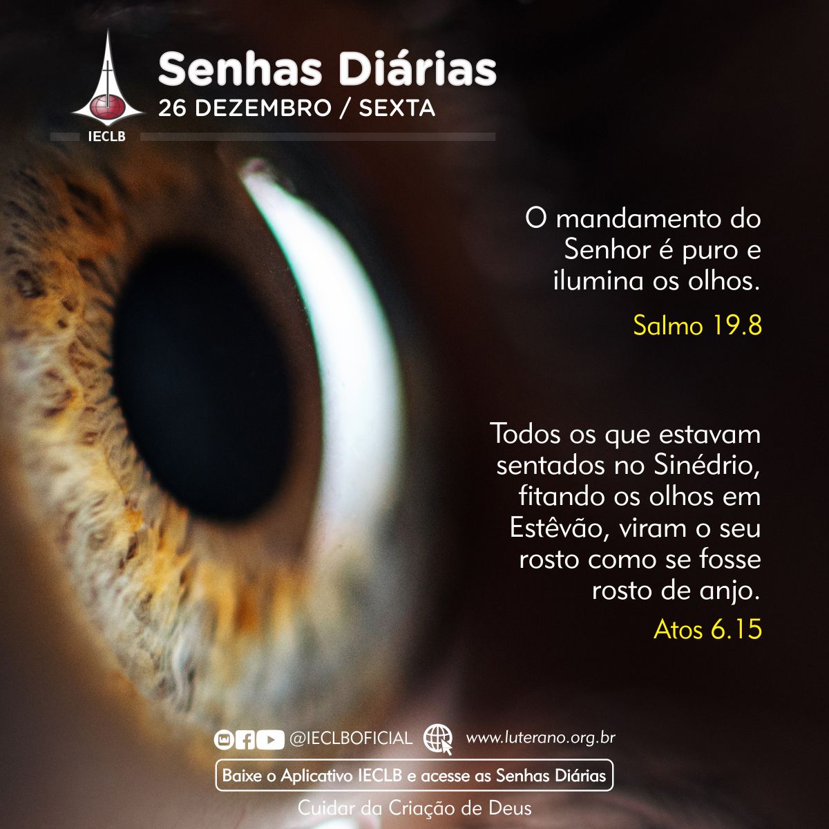 Senhas Diárias 26 12 2025