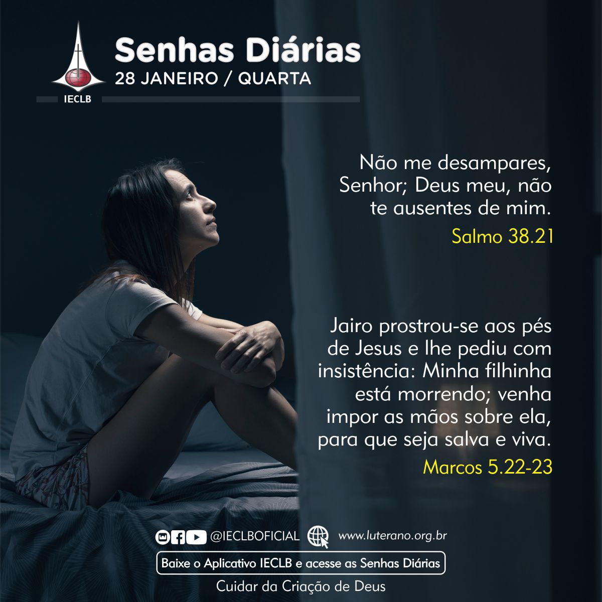 Senhas Diárias 28 01 2026