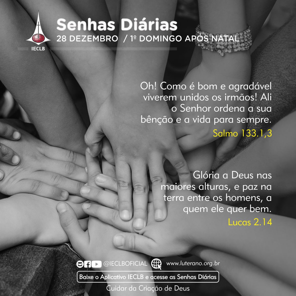 Senhas Diárias 28 12 2025